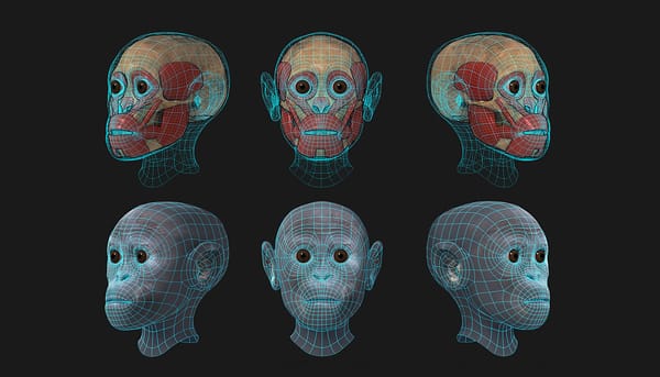 Project Taung e OpenCV