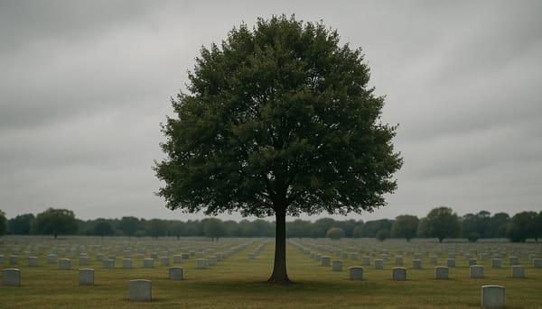 Six feet under