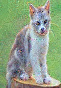 Deep Dream: Fra arte onirica e PyTorch